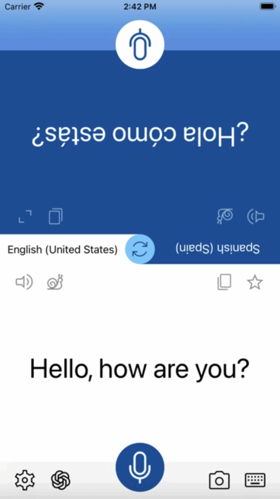 Instant Voice Translate app